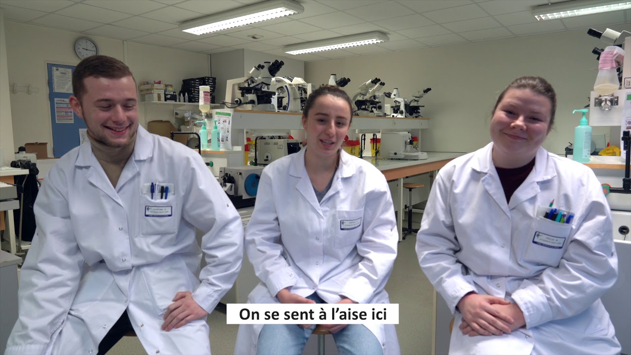 IFPS - Formation Technicien de Laboratoire Médical - vision apprenants