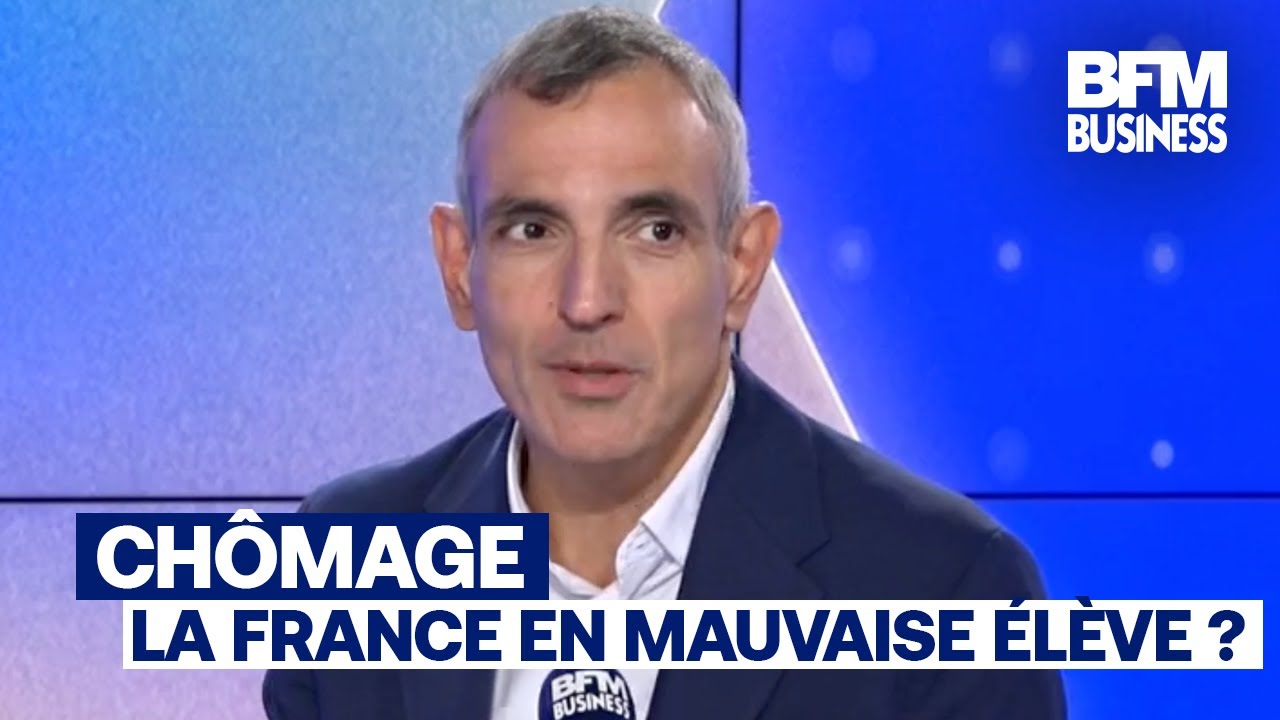 "Il y a plein de pays dans lesquels le chômage n’existe plus" (Stéphane Carcillo)