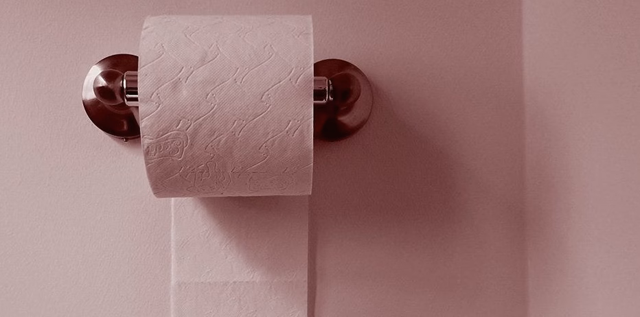 Trente ans de loyauté bafouée : six rouleaux de papier toilette lui coûtent son emploi dans le même hôtel